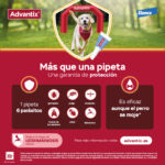Pipetas Antiparasitarias Advantix Perros  Pack 4 Unidades – Protección Completa - Imagen 4