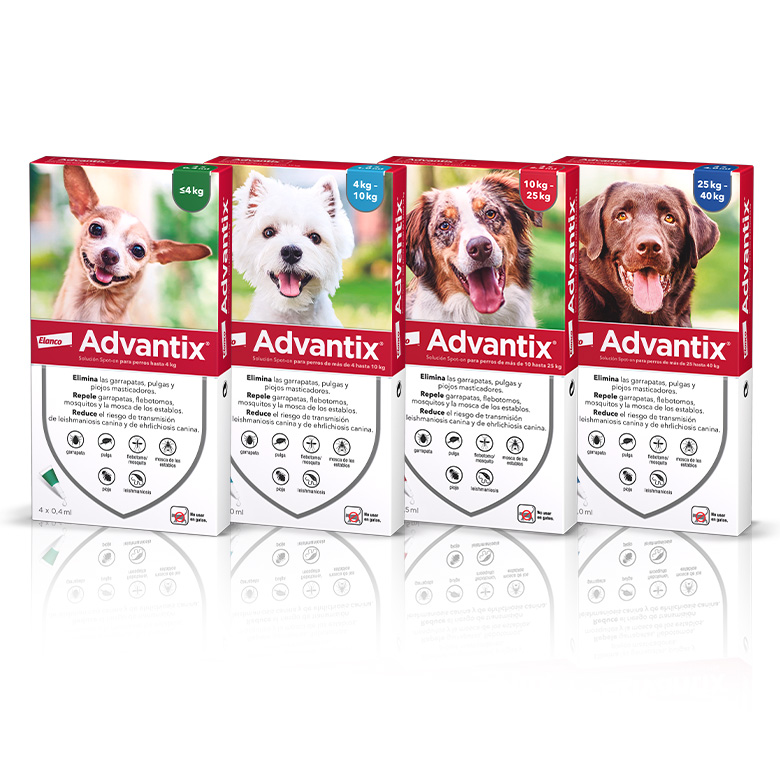 Pipetas antiparasitarias advantix pipetas antiparasitarias perros advantix pack 4 unidades